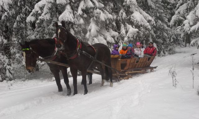 Kulig w Zakopane