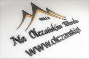 Willa Na Olczańskim Wierchu - Bukowina Tatrzańska - Wille - ID:809